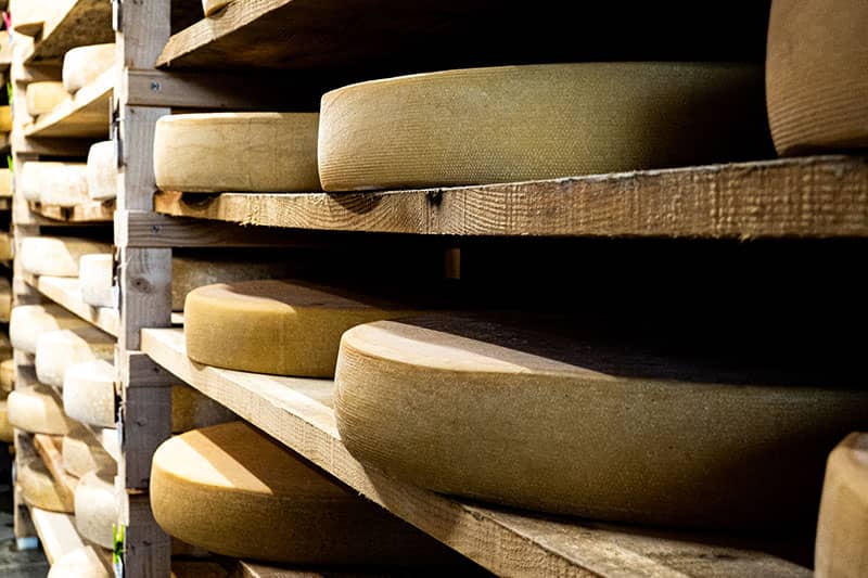 ALTERMONTS, Fromagerie biologique et paysanne dans les Monts du Lyonnais | Nos fromages