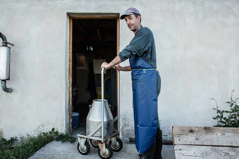 ALTERMONTS, Fromagerie biologique et paysanne dans les Monts du Lyonnais | Ferme Besson