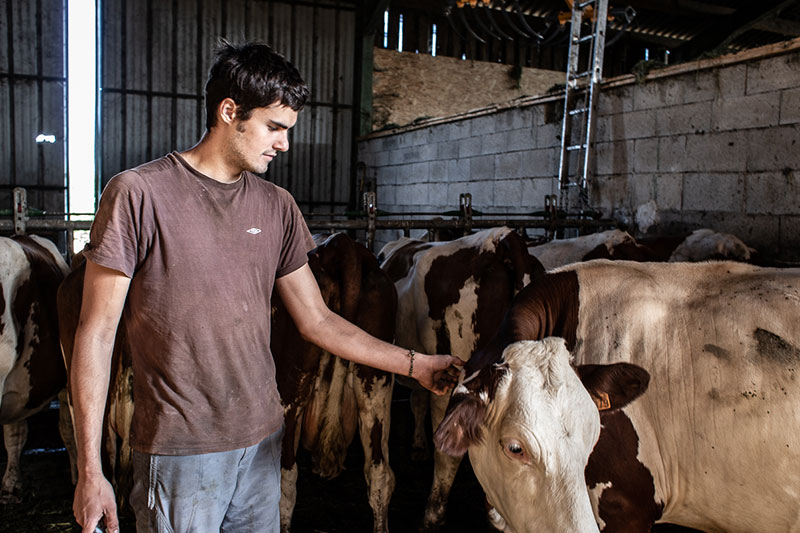 ALTERMONTS, Fromagerie biologique et paysanne dans les Monts du Lyonnais | Nos valeurs