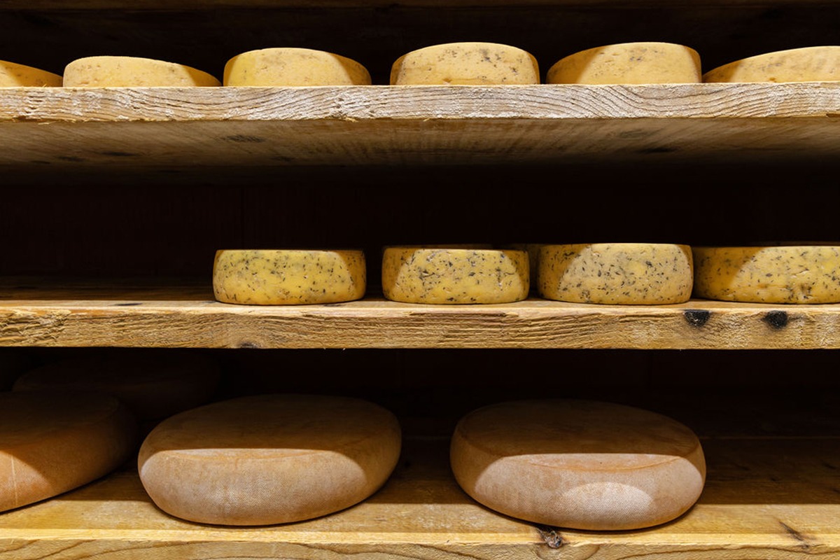 ALTERMONTS, Fromages biologiques et paysans des Monts du Lyonnais | Article fabrication fromage