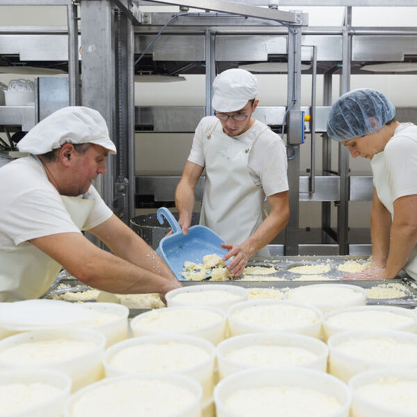 L’art de la fabrication des fromages AlterMonts : du bio, du local et de l’humain