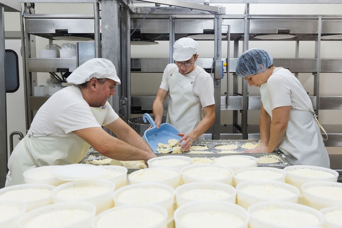 ALTERMONTS, Fromages biologiques et paysans des Monts du Lyonnais | Article fabrication fromage