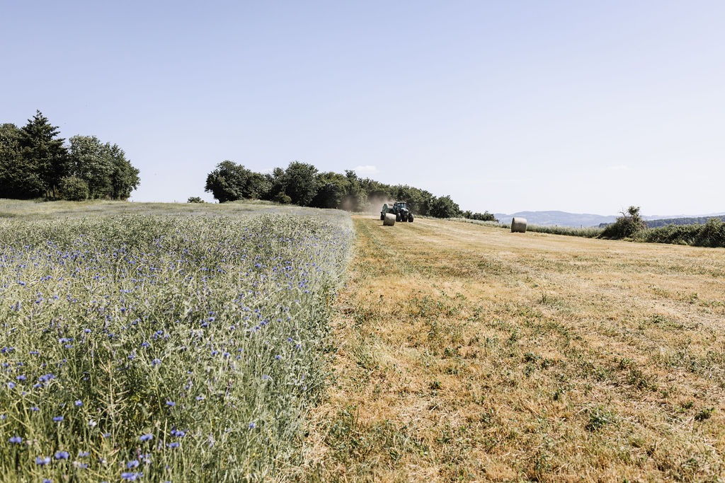 AlterMonts_Fromagerie_MontsduLyonnais