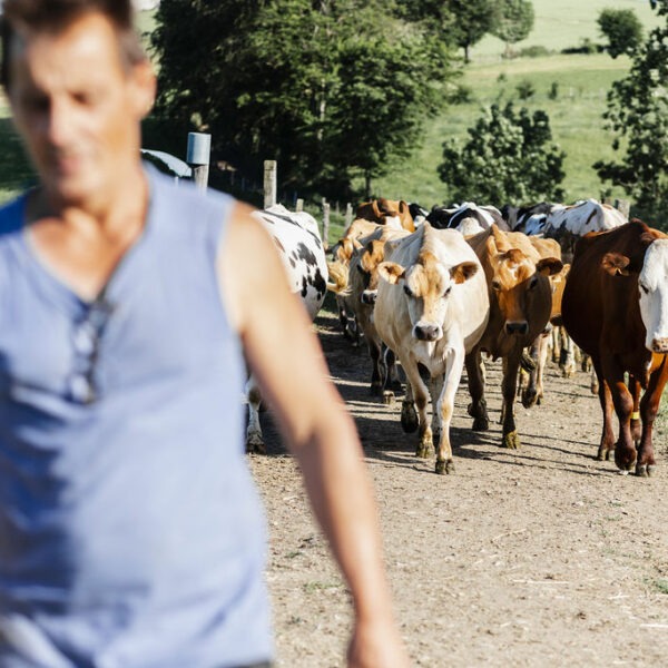 Tribune : ne laissons pas enterrer l&rsquo;agriculture paysanne et biologique