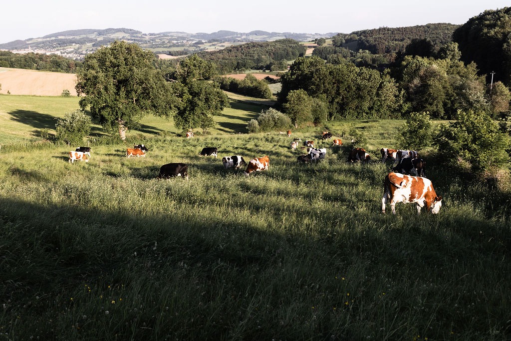 Fromagerie Monts du Lyonnais AlterMonts
